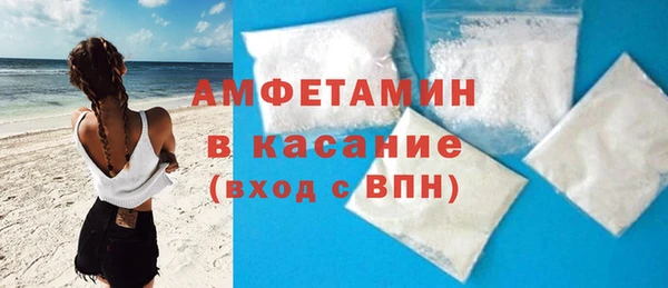 гидра Ессентукская