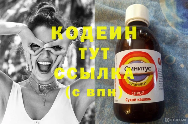 шишки Фёдоровский