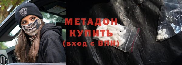 гидра Ессентукская