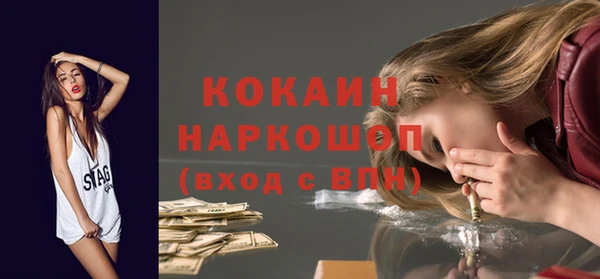 шишки Фёдоровский