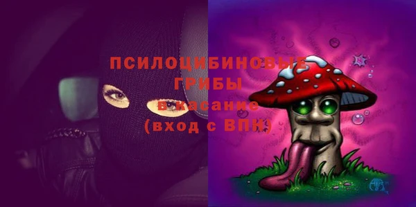 шишки Фёдоровский