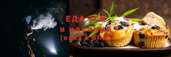 шишки Фёдоровский