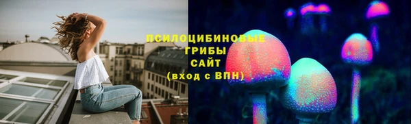 гидра Ессентукская