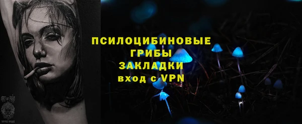 стафф Санкт-Петербург