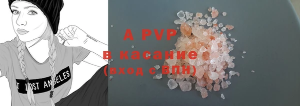 шишки Фёдоровский