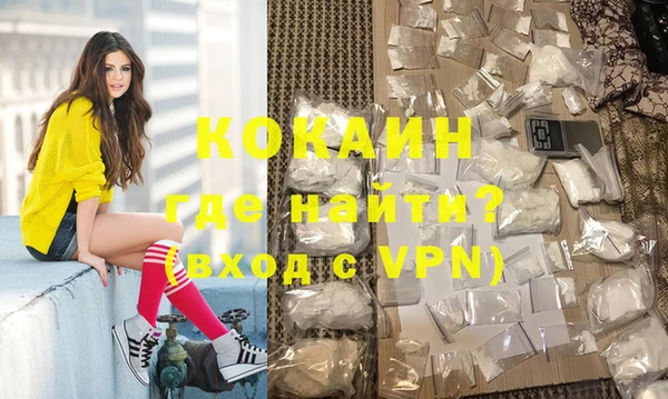 шишки Фёдоровский