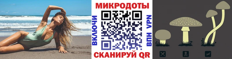 купить наркотики сайты  Рязань  Галлюциногенные грибы Psilocybe 