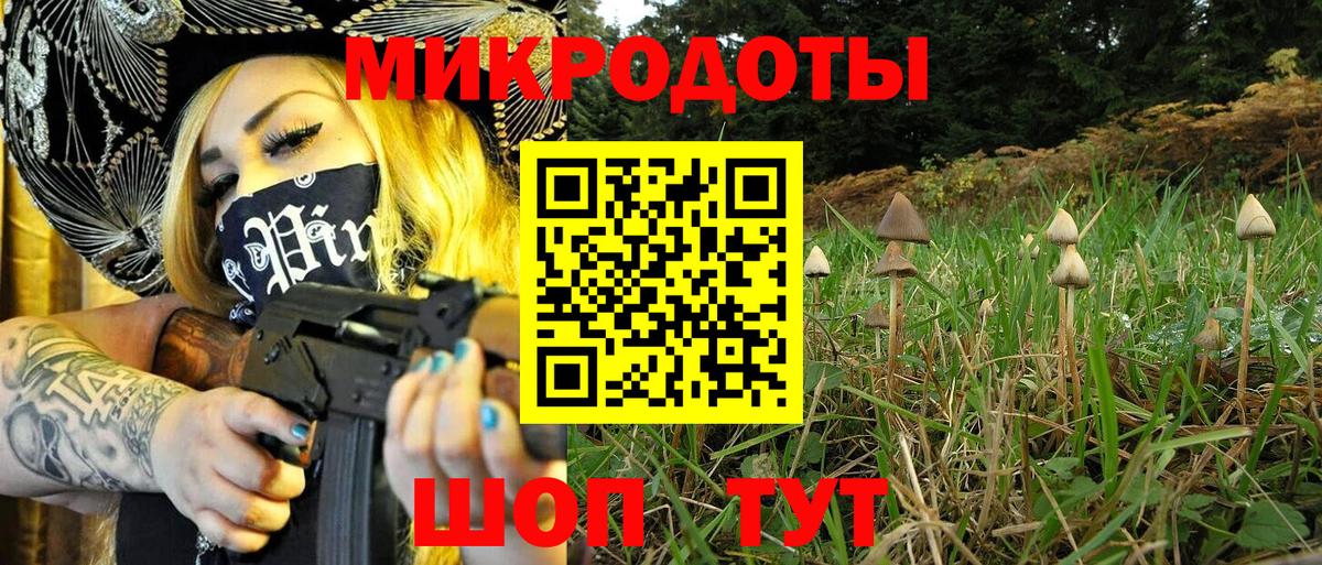 Галлюциногенные грибы MAGIC MUSHROOMS  Вход с VPN  Россия 